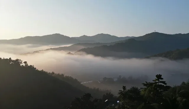 策划服务选型时应关注哪些核心要素？